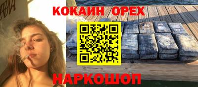 дмт Кингисепп