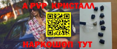 дмт Кингисепп