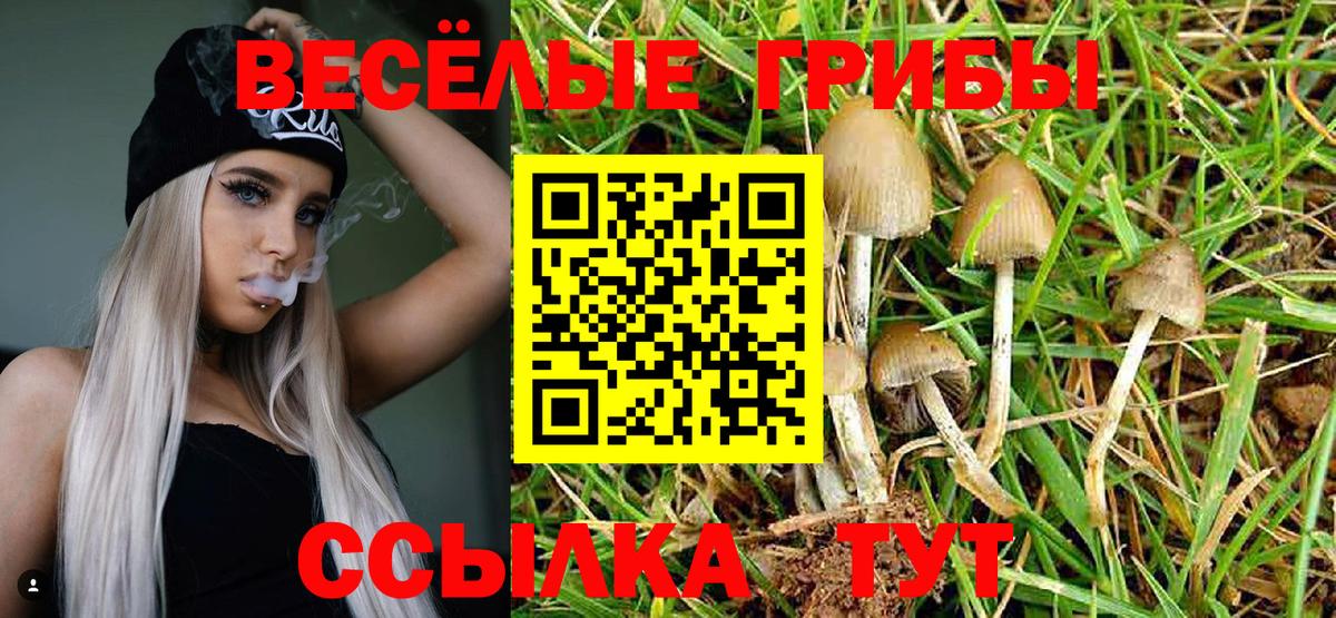 как найти наркотики  Псилоцибиновые грибы мухоморы  Майский  Вход с VPN  Галлюциногенные грибы мухоморы 