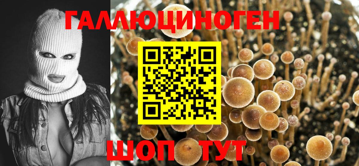 Псилоцибиновые грибы ЛСД Майский